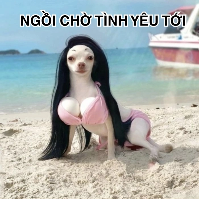Chờ đợi meme chế hài
