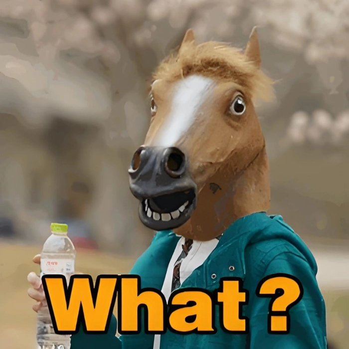 Động vật meme gương mặt biểu cảm