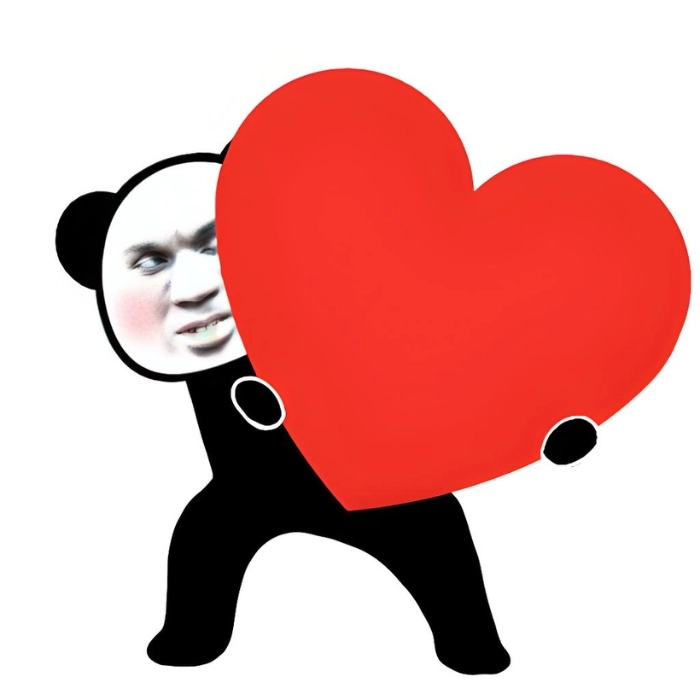 Gấu trúc meme biểu cảm lạ