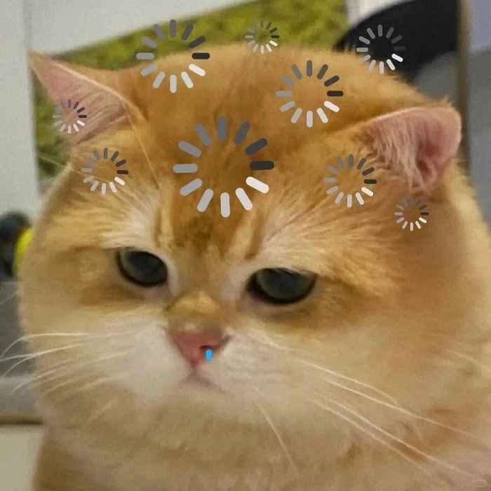 Hình ảnh meme động vật lag