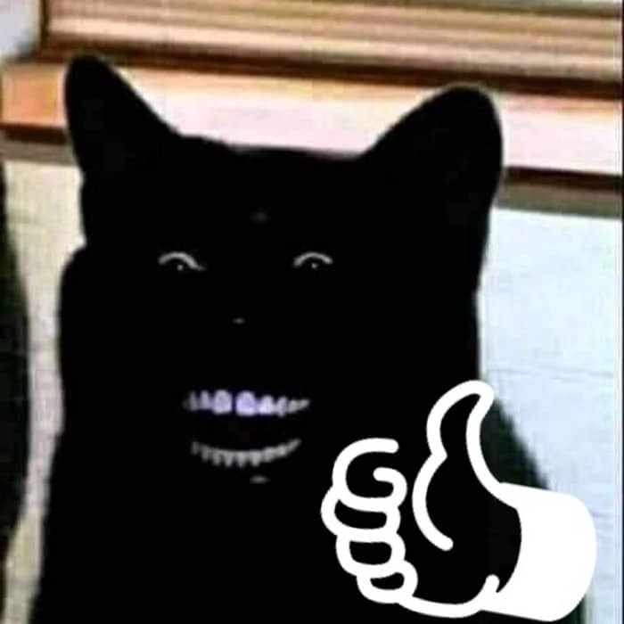 Hình meme mèo like mặn mòi