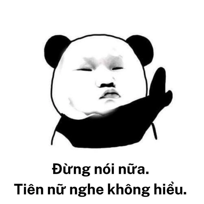 Meme Trung Quốc gấu trúc biểu cảm bá đạo