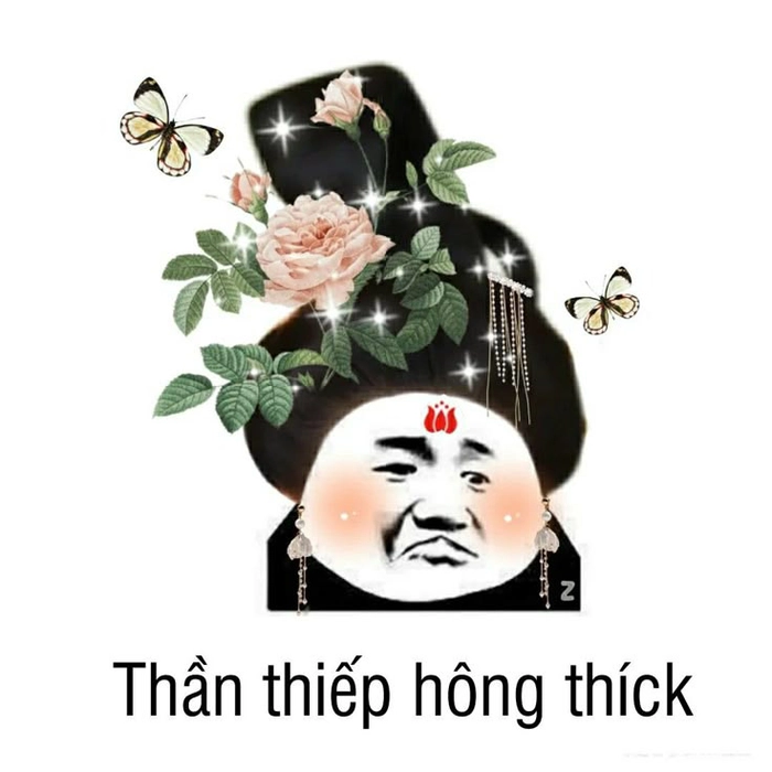 Meme Trung Quốc gấu trúc chế mặn