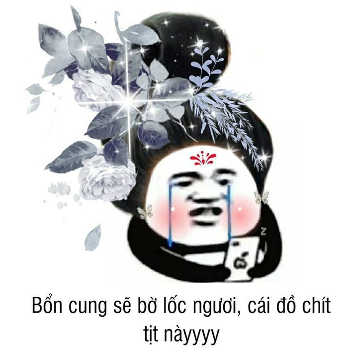 Meme Weibo gấu trúc biểu cảm hài