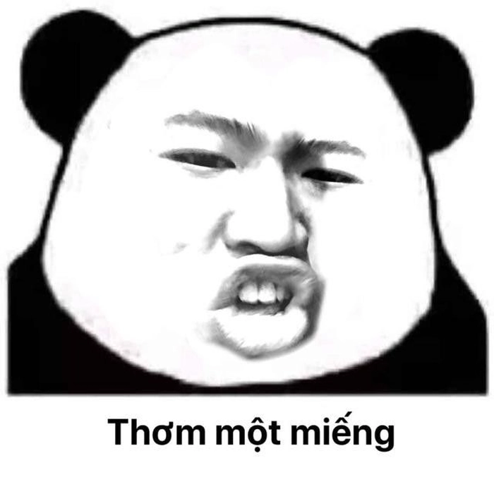 Meme Weibo gấu trúc cực mặn