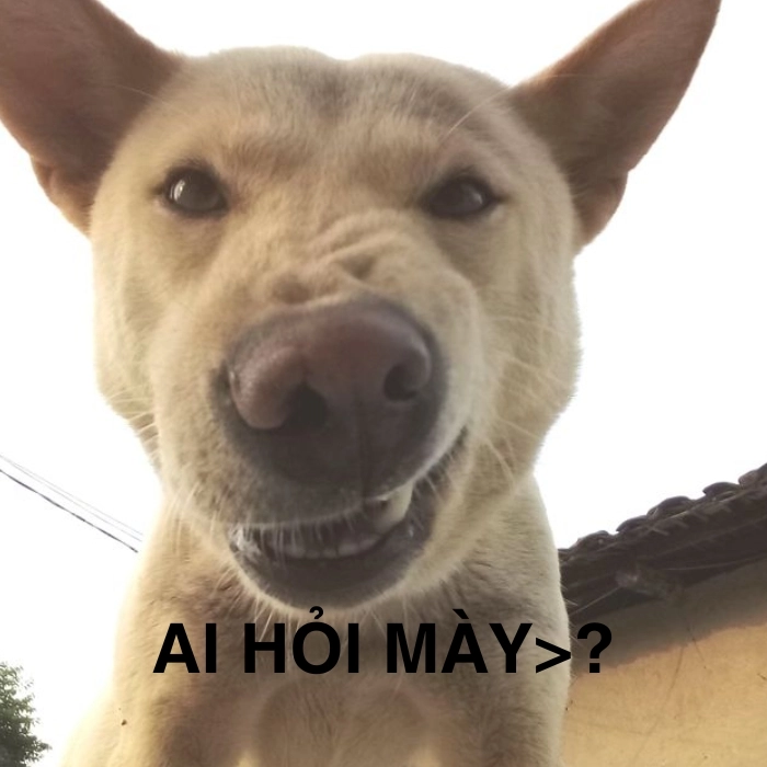 Meme ai hỏi cà khịa