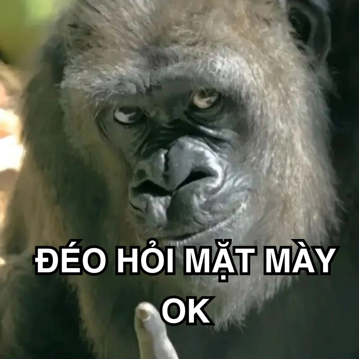Meme ai hỏi mà rep dài thế