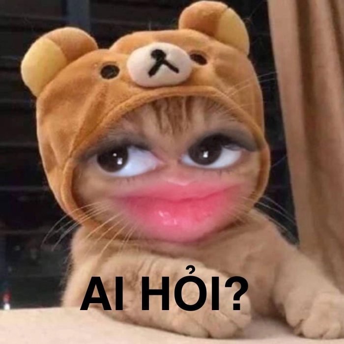 Meme ai hỏi mặn mà
