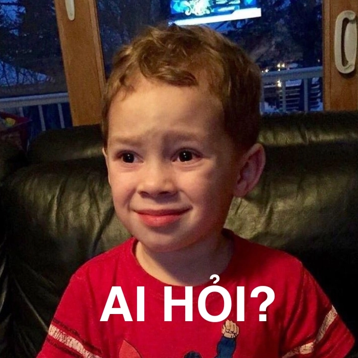 Meme ai hỏi xéo sắc