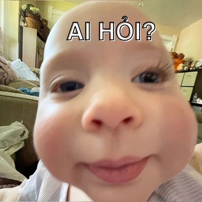 Meme ai hỏi