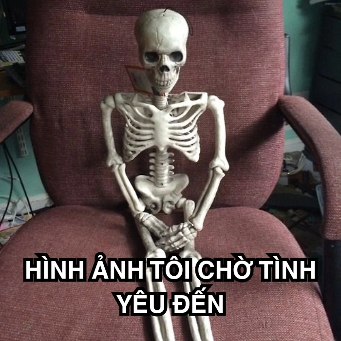 Meme bộ xương chờ đợi