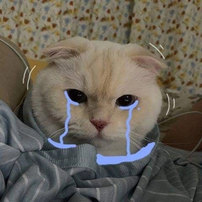 Meme buồn khóc trong lòng