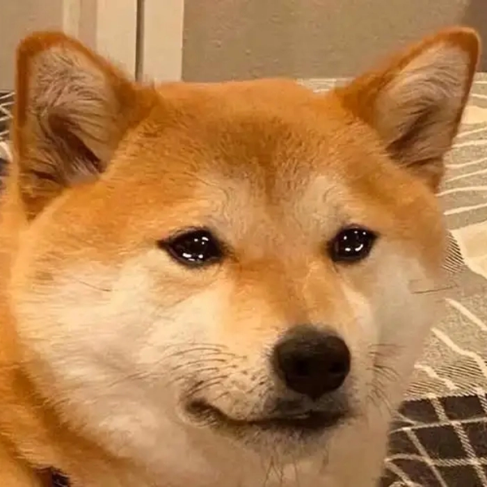 Meme buồn nhìn xa xăm