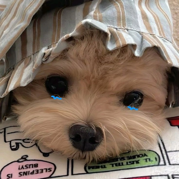 Meme buồn tâm sự đêm khuya