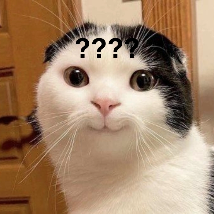 Meme chấm hỏi kiểu “hả thật á”