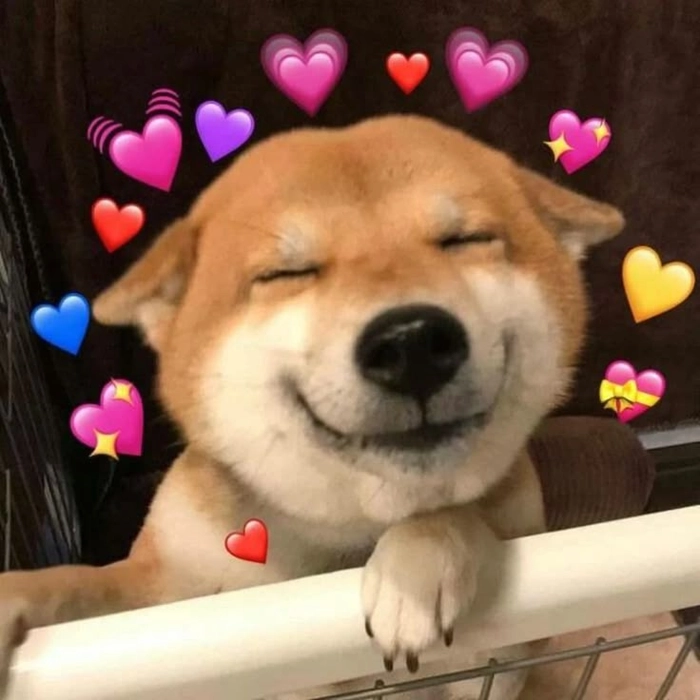 Meme chó cute chào sen