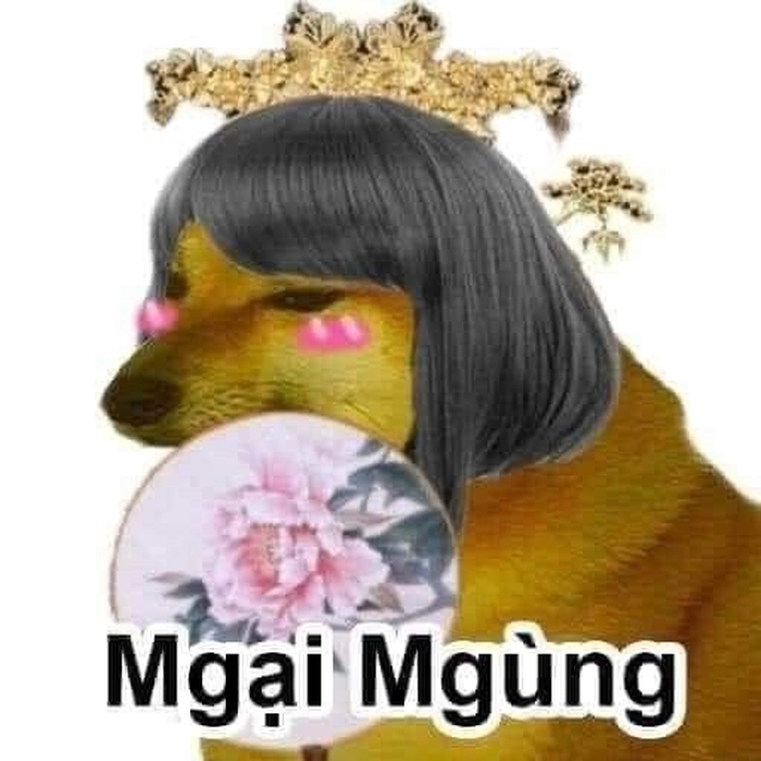 Meme chó cute ngại ngùng
