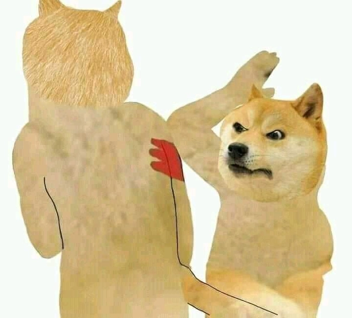 Meme chó cute ngáo
