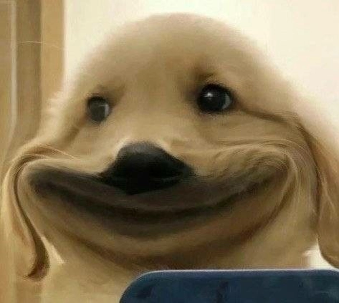 Meme chó cute sợ hãi