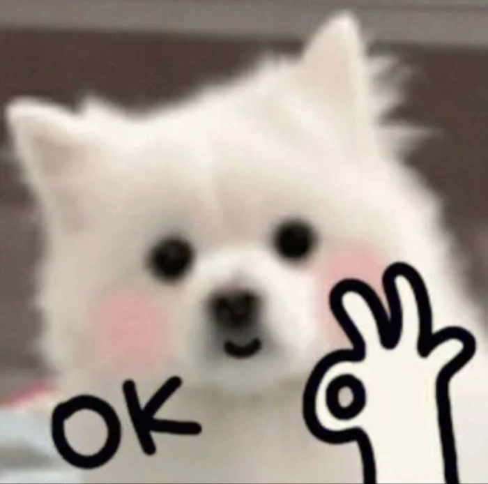 Meme chó cute troll sen