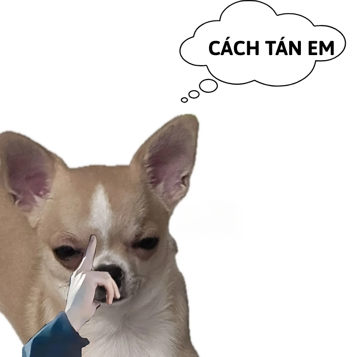 Meme chó đang suy nghĩ