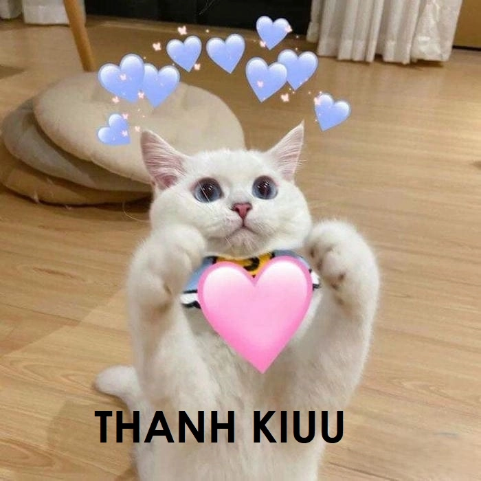 Meme con mèo cảm ơn chế hài