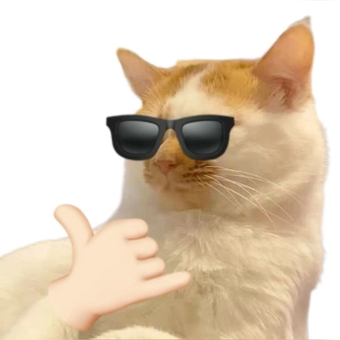 Meme con mèo like gật đầu hài