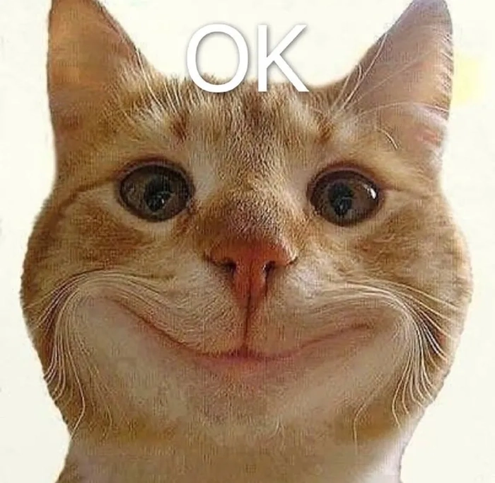 Meme con mèo ok dở khóc dở cười