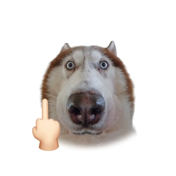 Meme động vật gây cười