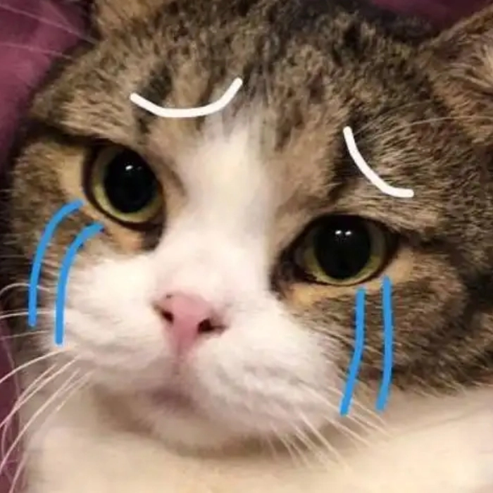 Meme động vật kiểu bất lực