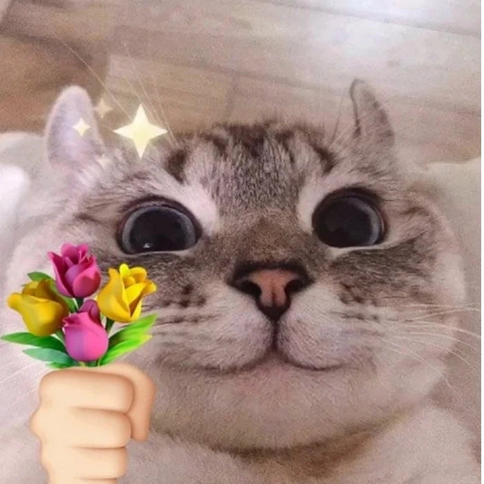 Meme động vật tặng hoa cute