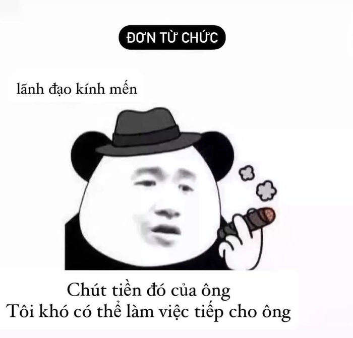 Meme gấu trúc bựa Trung Quốc cười xỉu