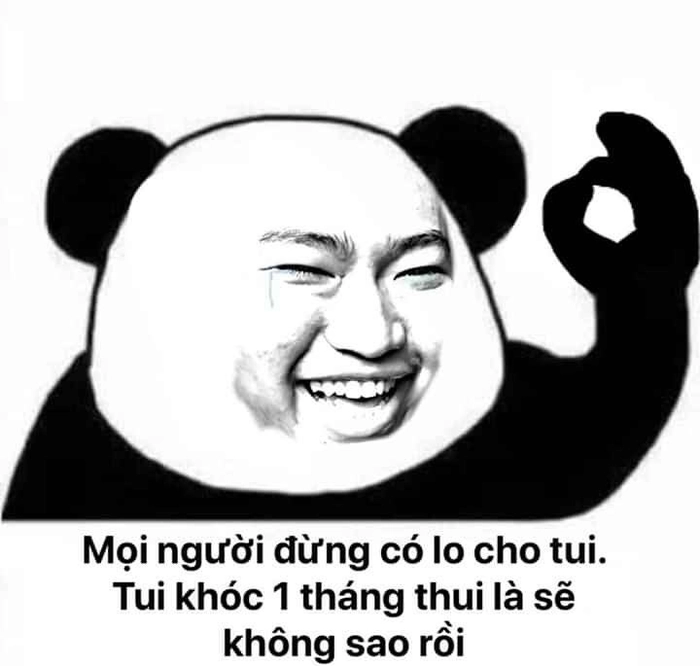 Meme gấu trúc bựa Trung Quốc đáng xem