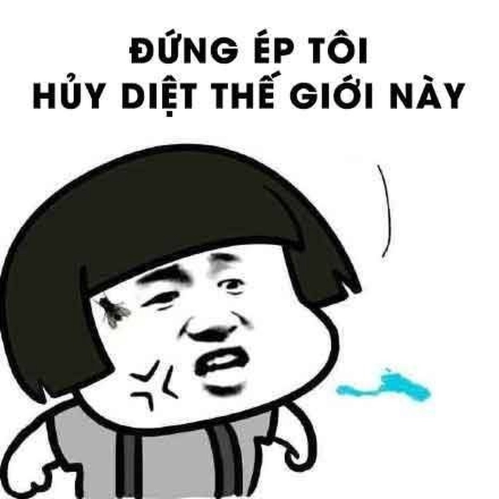 Meme gấu trúc bựa Trung Quốc lầy lội