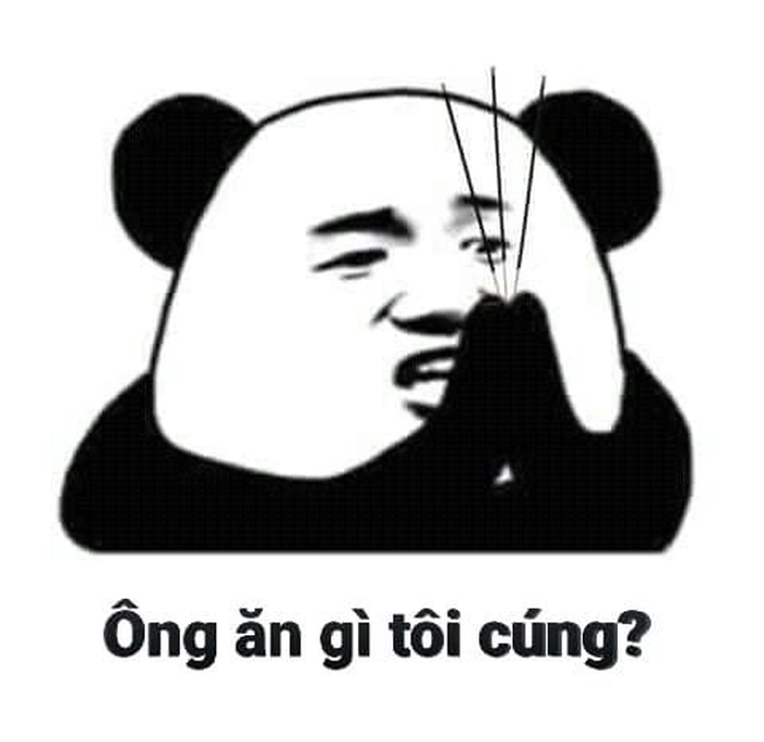 Meme gấu trúc bựa Trung Quốc meme chế