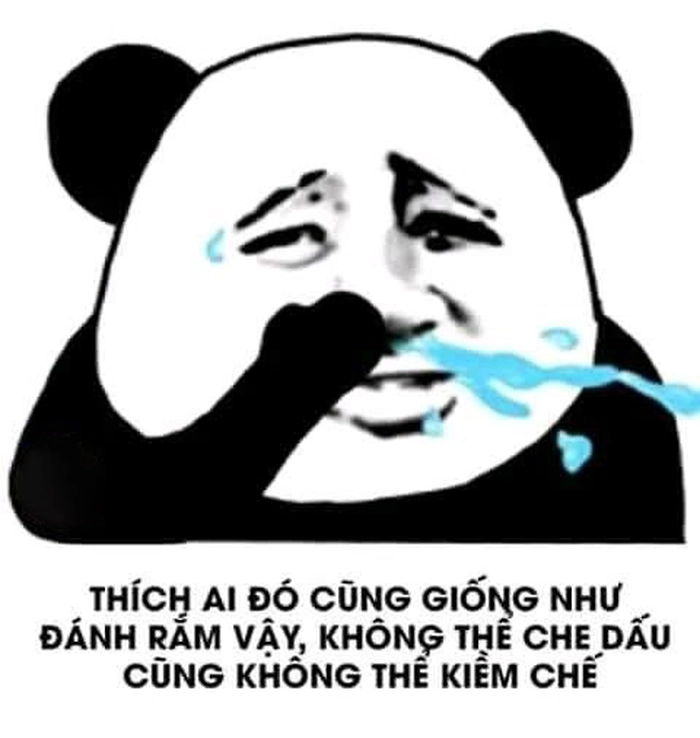 Meme gấu trúc bựa Weibo chế cực mạnh