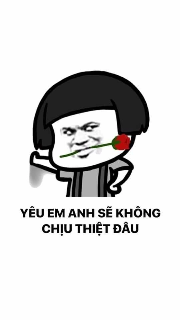 Meme gấu trúc bựa Weibo hot nhất mạng