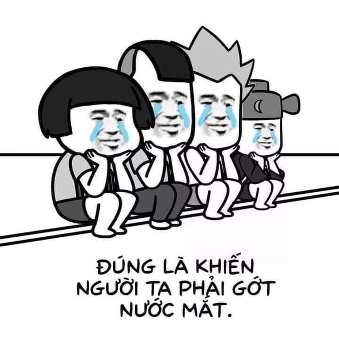 Meme gấu trúc bựa Weibo phản ứng troll