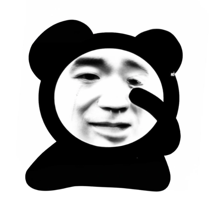 Meme gấu trúc mặt đơ