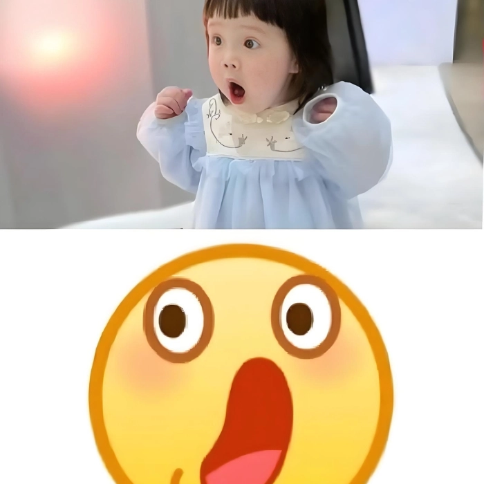 Meme gấu trúc ngạc nhiên meme vui