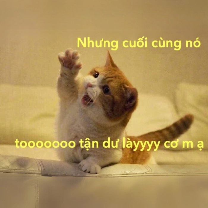 Meme giơ tay nhận lỗi hài hước