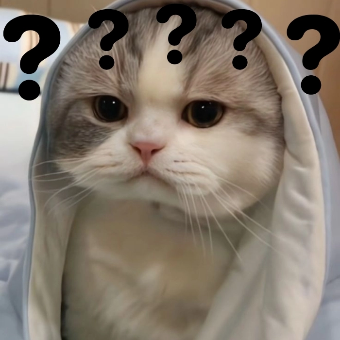Meme hỏi chấm không hiểu gì luôn
