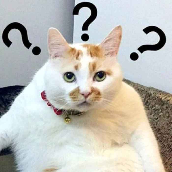 Meme khó hiểu hài hước