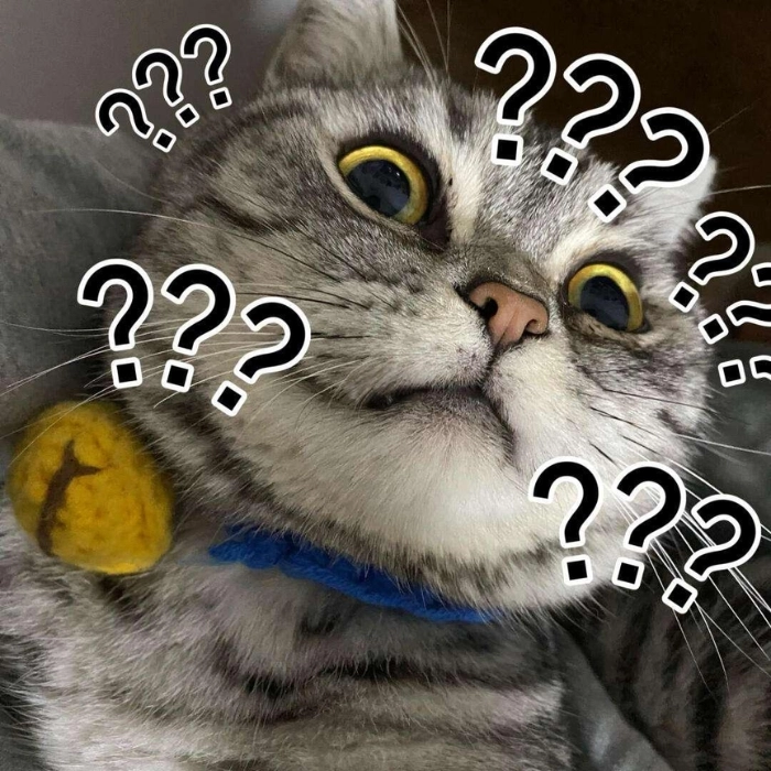 Meme khó hiểu ngơ ngác