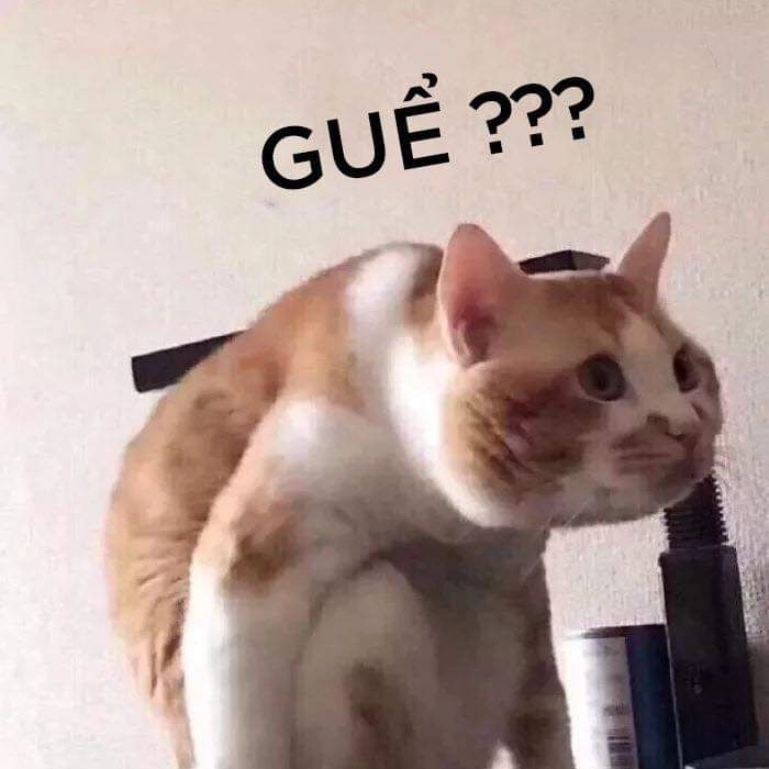 Meme khó hiểu