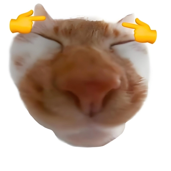 Meme ko chữ cực xàm