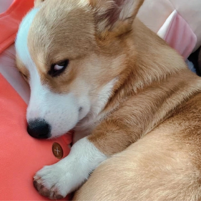 Meme liếc mắt buồn cười