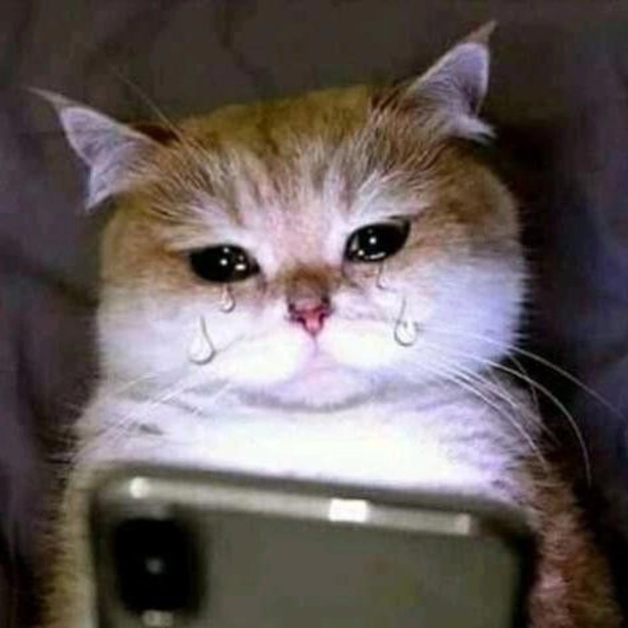 Meme mặt buồn bất lực