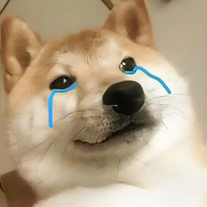 Meme mặt buồn tan chảy