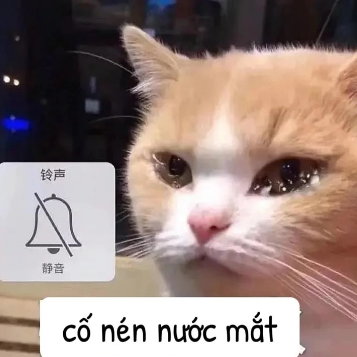 Meme mặt buồn tan vỡ